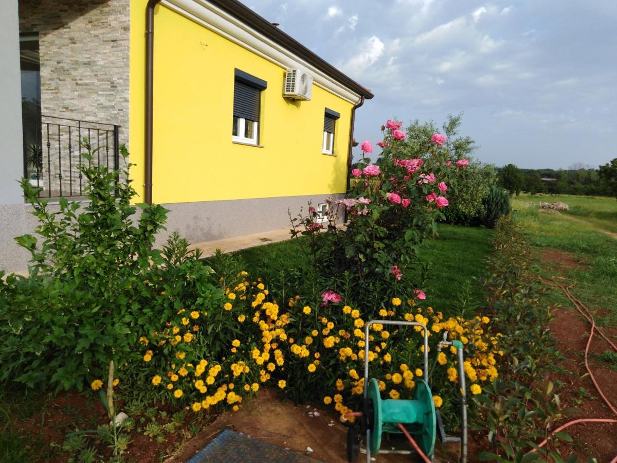 House Anita * Umag