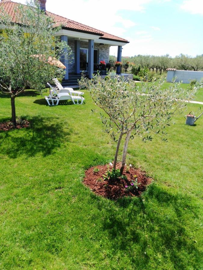 Villa House Anita Umag